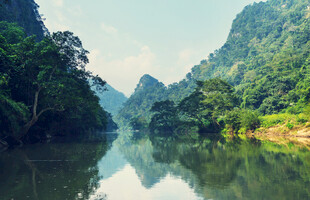 青山绿水间的宁静河流