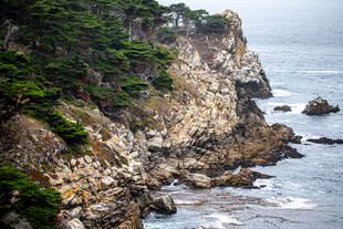 海岸边嶙峋岩石与绿植