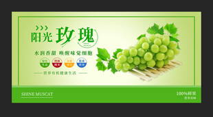 阳光玫瑰葡萄