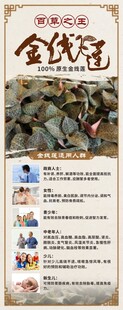 金线莲宣传展示