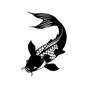 手绘鱼类