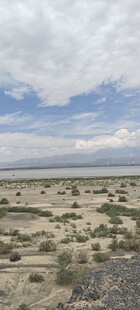 荒漠旷野景观