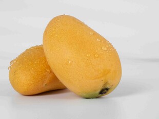 两个金黄饱满的新鲜芒果