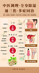 中医调理全身保暖多维度