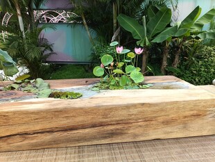 绿植花卉