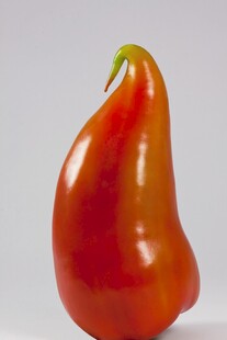 辣椒