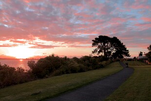 夕阳下的林间小道美景