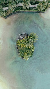 海中绿岛