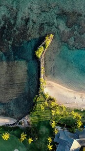 海岸美景黄花点缀沙滩
