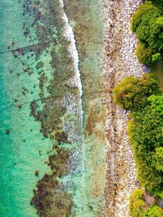 俯瞰碧海与葱郁海岸