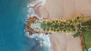 俯瞰海岸绿植优美景致