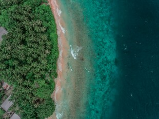 俯瞰碧海绿树的美丽海岸