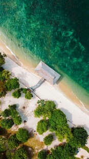 俯瞰海边栈桥与绿植景观