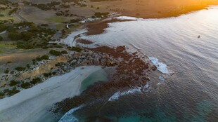 海岸夕照美景