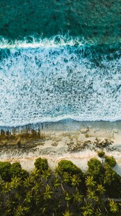 俯瞰海岸边的海浪与绿植