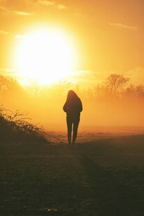 夕阳下的独行者
