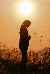 夕阳下女孩伫立花田