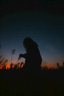 夕阳下的孤独身影