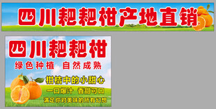 四川粑粑柑