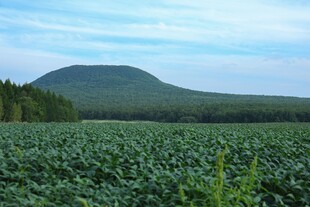 广袤田野与远处青山景色