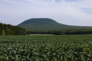 田野山峦风光图