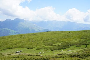 高山绿野间的美丽风光