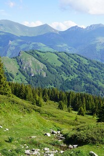 青山翠林间的壮美山景