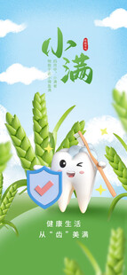 小满时节麦穗与萌猫