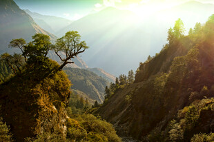 山间晨光风景