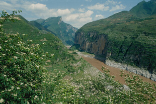 山间河谷绿意盎然风景