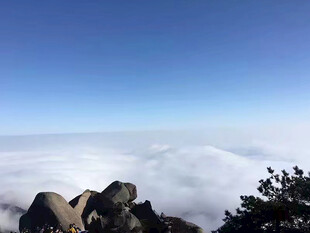 山顶云海美景