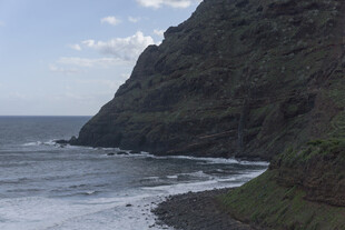 海岸边的岩石绿植景观
