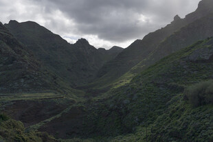 山峦叠翠间的绿意景致