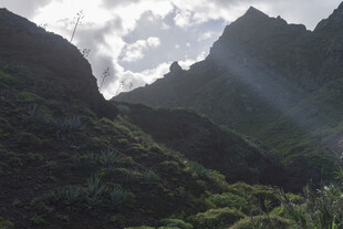 山间云雾缭绕风景