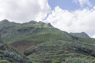 青山覆绿风景