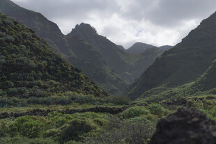 山峦叠翠间的自然美景