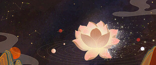 梦幻夜中绽放的唯美莲花