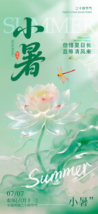 小暑时节荷花绽放