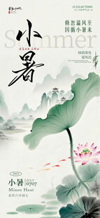 小暑时节荷花绽放图景