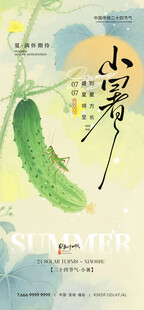 清新小暑节气插画设计