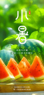 小暑时节的鲜美西瓜