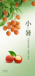 小暑时节的鲜果与绿植