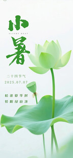 小暑时节的清新荷花图