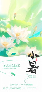 小暑时节荷花清新画面