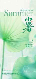 夏日清新荷叶美景