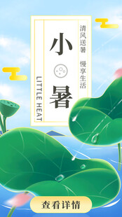 小暑时节的清新荷塘景象
