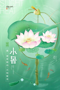 小暑时节荷塘美景