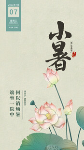 小暑时节荷花绽放图
