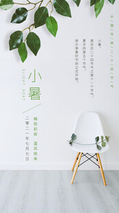 清新绿植墙搭配简约白椅
