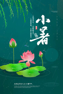 小暑时节荷花绽放美景